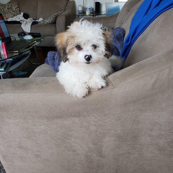 Meet your Posher, Christy Markovitz - Picture 7 of 8